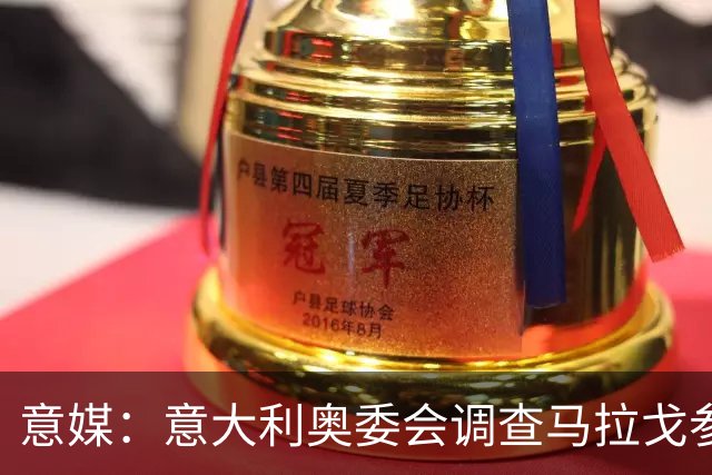 意媒：意大利奥委会调查马拉戈参选足协主席资格问题